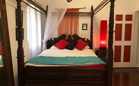 Island Time Guest Room
